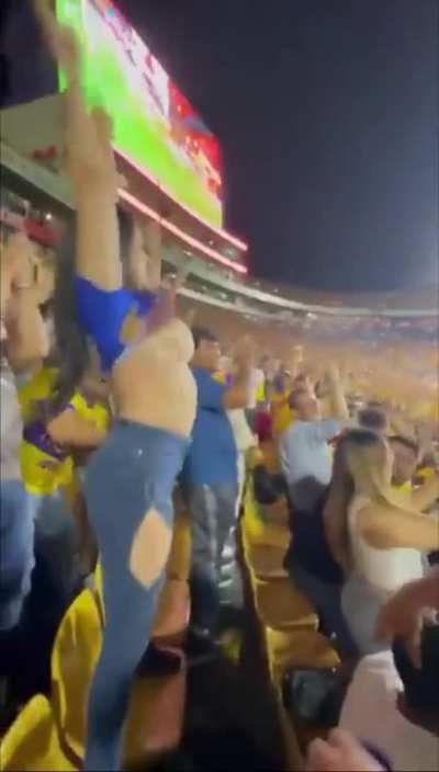 Soccer fans celebrate victory