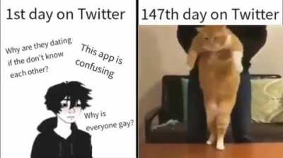 Twitter the downfall of society😳