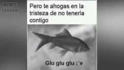 glu glu glu :V