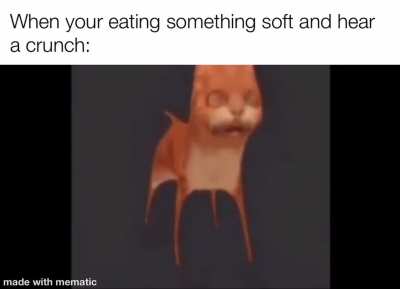 moldy crunch