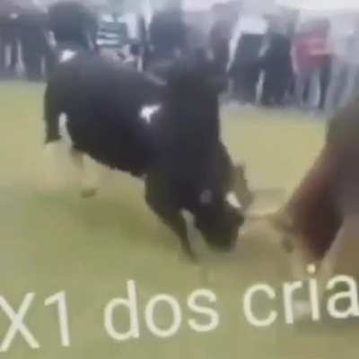 Melhor x1 😎🤚