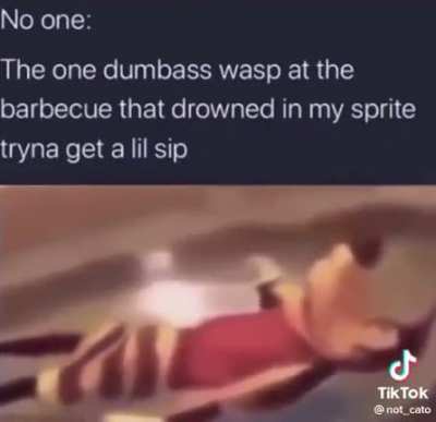 Wasp