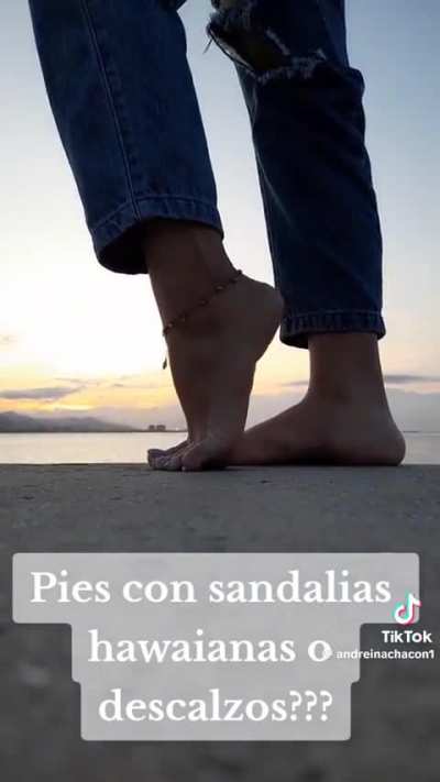 FlipFlops 