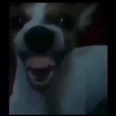 😂😆😆