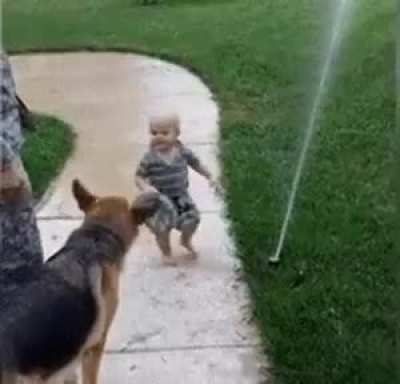 Doggo smart enough to know what the toddler wants, and indulge him.