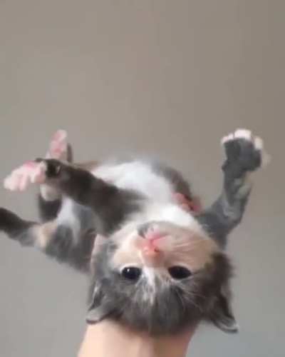 Upside down