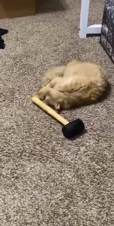It&rsquo;s hammer time!
