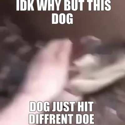 Blursed_Dog