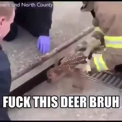 shitposting - Video #7327