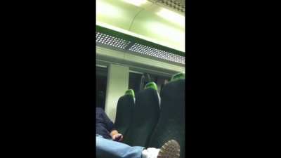 British chav girl loses her shit on the train