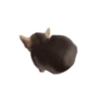 Sgwjbwpibepjbjps