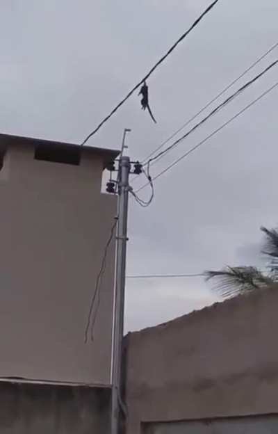 Magagu