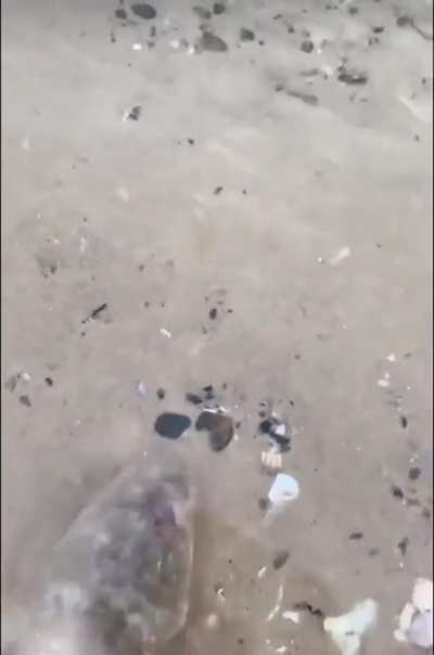 F**k your fish and f**k your love for nature, kid!