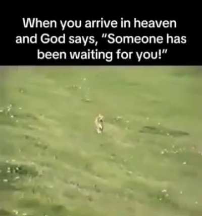 happy wunk posting