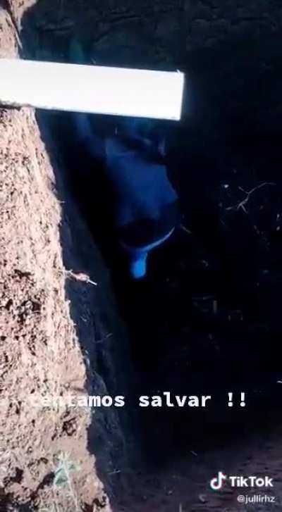 Assista at&eacute; o final