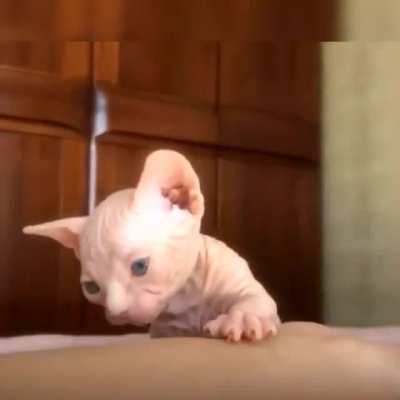 Hello,today is a day for me to practice my life