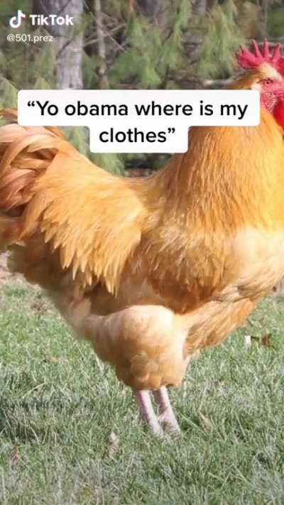 What is my clothes