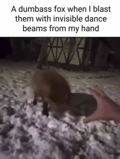 Fox :)