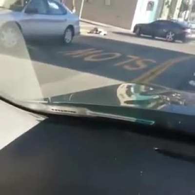 Seatbelts?