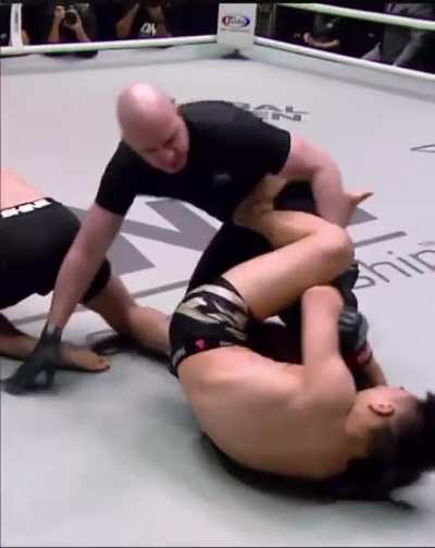 Referee kinda doing his job