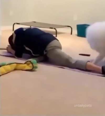 Wait for it&hellip;