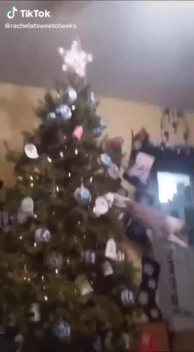 Aaaaaaaa