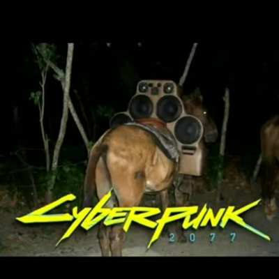 hmm