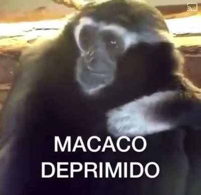 Muca triste