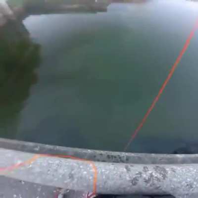 Bowfishing sniper head shot from a dam.