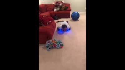 Riding a hoverboard on your stomach, WCGW?
