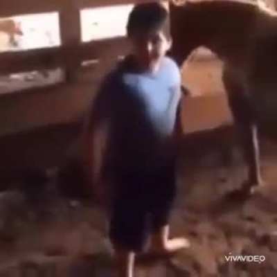 Um dia vou ser macho