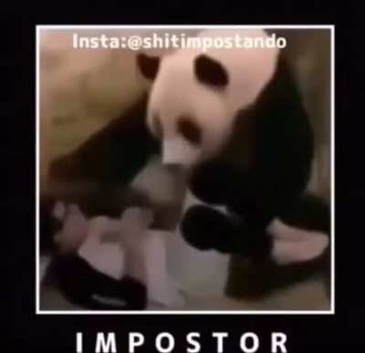 Sus
