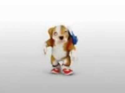 What the dog doin