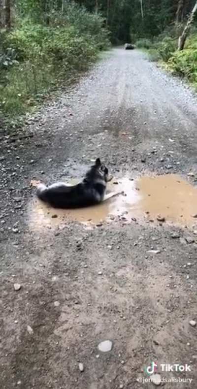 Hopefully this wasn&rsquo;t posted before
