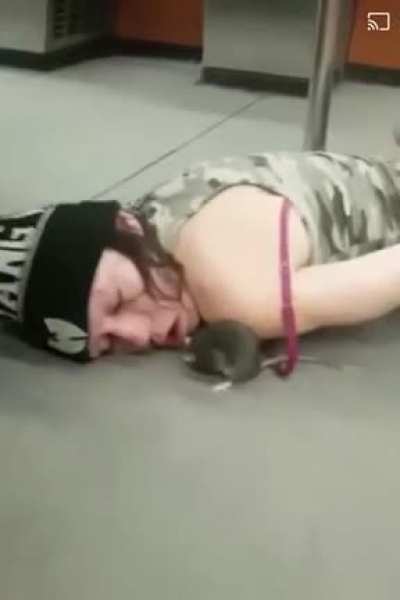 Ratatouille