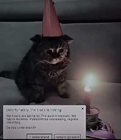 2meirl4meirl