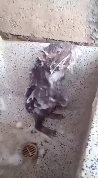 Джерри постарел
