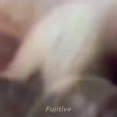 Meme random qliao