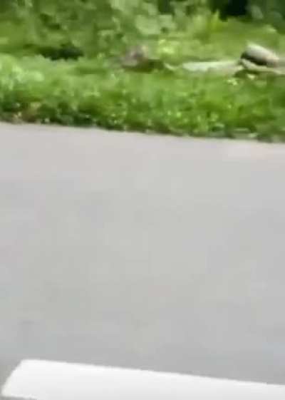 Biking through the jungle