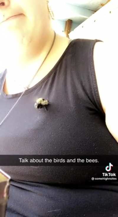 Bee said, &ldquo;I&rsquo;ll just show you.&rdquo;