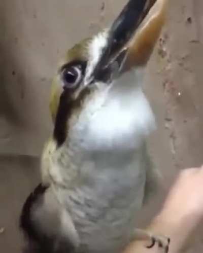 Qualquer Coisa