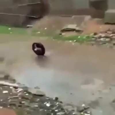 un juego tradicional de Venezuela &amp;lt;3