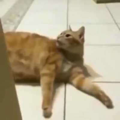He was taken to the void
