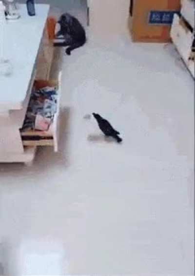 Crowfunding.