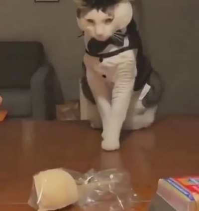 Dapper