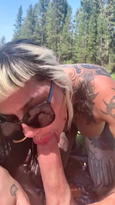 🌈 Camping ⛺️