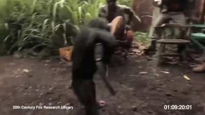 Kkkkkkkkkkk Al&ocirc; ibama?