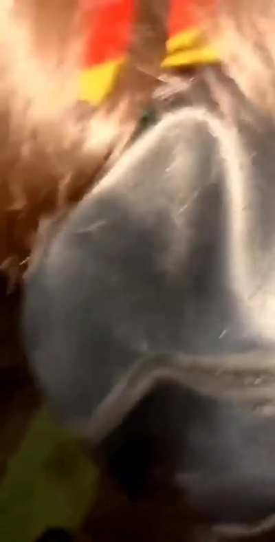 Quickie in an Alley Behind The Club