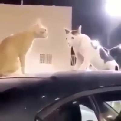 O_O