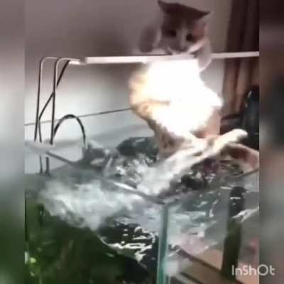 Nononono